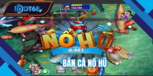 ban-ca-no-hu