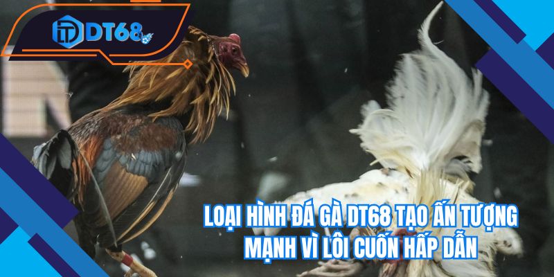 Loại hình đá gà Nhà cái DT68 tạo ấn tượng mạnh vì lôi cuốn hấp dẫn