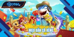 meo-ban-ca-xeng