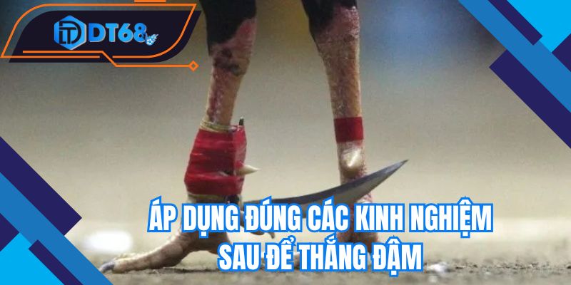Áp dụng đúng các kinh nghiệm sau để thắng đậm