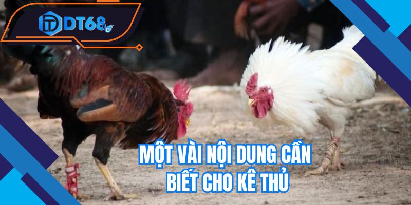 Một vài nội dung cần biết cho các kê thủ 
