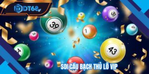 soi-cau-bach-thu-lo-vip