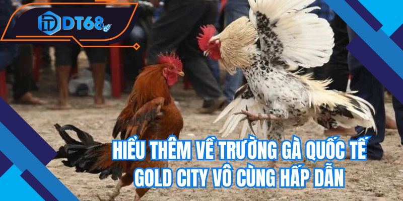 Hiểu thêm về trường gà quốc tế Gold City vô cùng hấp dẫn