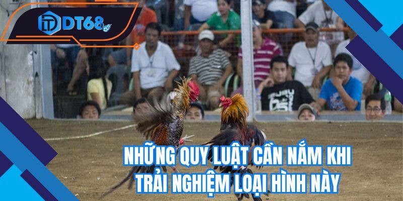 Những quy luật cần nắm khi trải nghiệm loại hình này