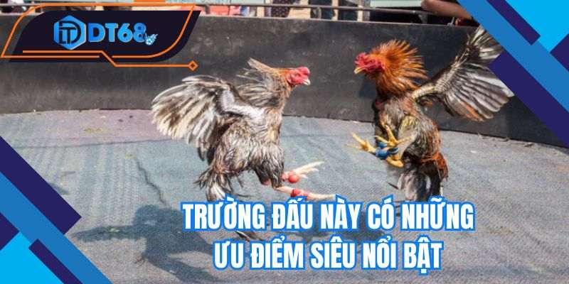 Trường đấu này có những ưu điểm siêu nổi bật